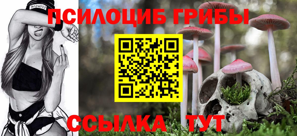 Псилоцибиновые грибы прущие грибы  Галлюциногенные грибы мицелий  Вход с VPN  Новоалександровск 